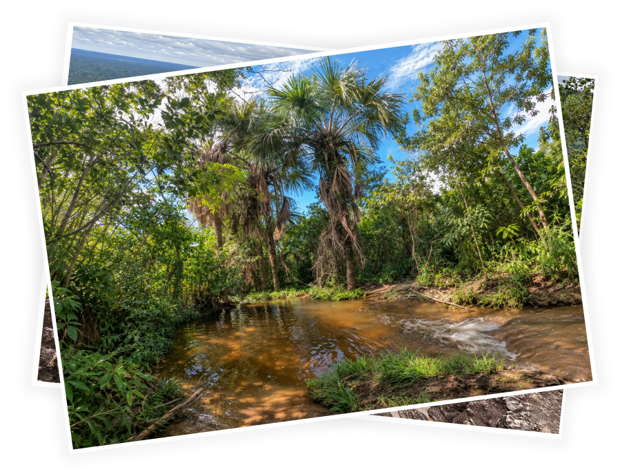 Experiencia turística en Guaviare